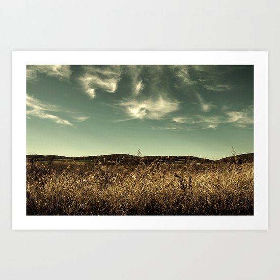 field Art Print