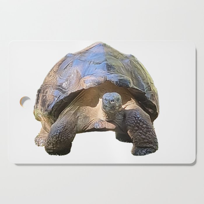 The wise old Tortoise Cutting Board
