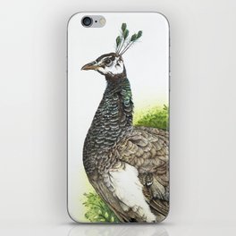 Peacock Girls iPhone Skin