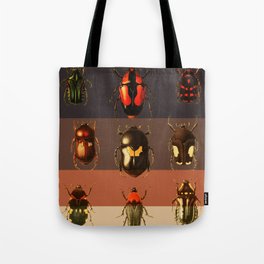 Bug Beetle Insects Species Coleoptera Beetles Animals Tote Bag