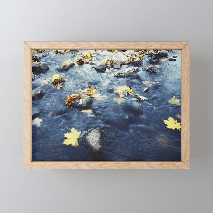 Autumn Leaves, Color Film Photo, Analog Framed Mini Art Print