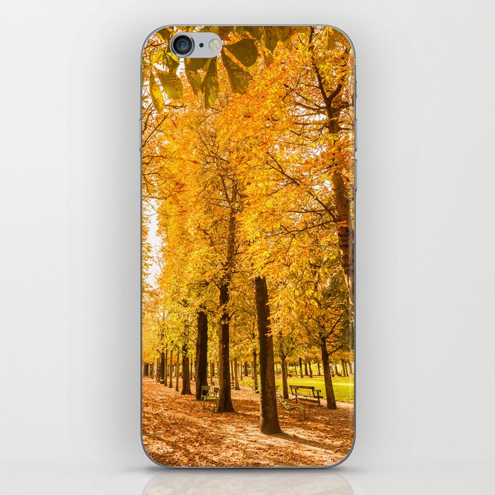 autumn park iPhone Skin