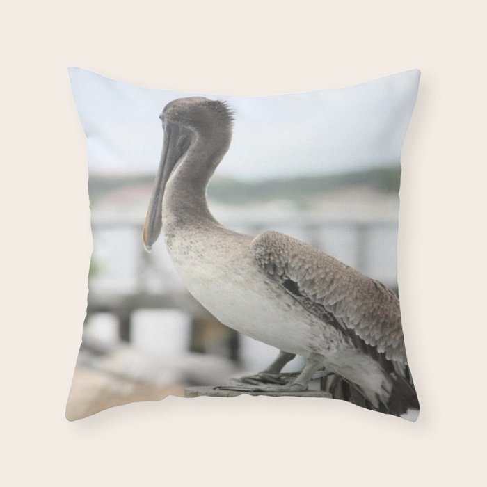 Pelican deals throw pillows