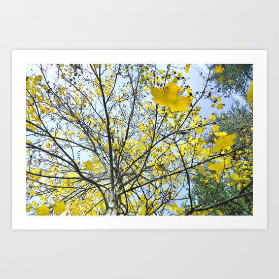 Yellow leaves raining Art Print