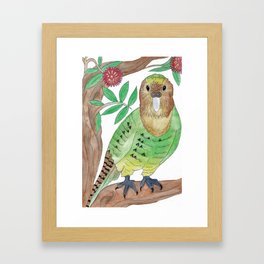 Kakapo Framed Art Print