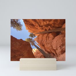 Base of Bryce Canyon Mini Art Print