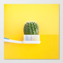 Spiky toothbursh Canvas Print