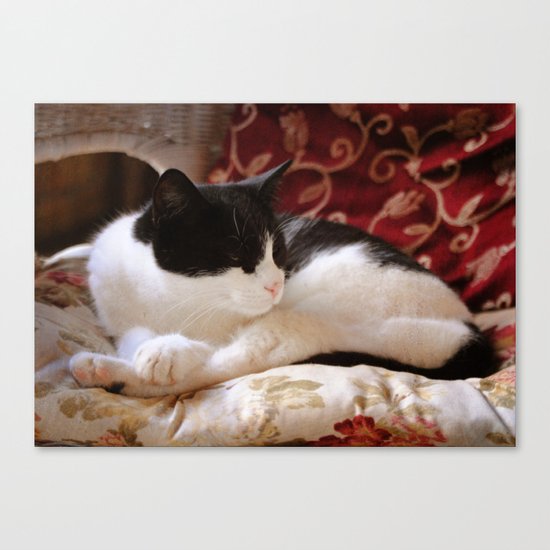 Oh, really? Canvas Print