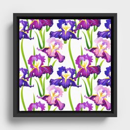 Purple Rustic Meadow Iris Flowers Watercolor Framed Canvas