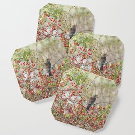 Fieldfare and red Rose Hips Coaster