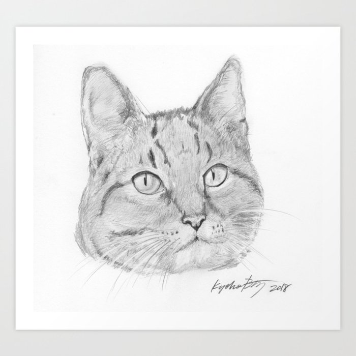 Cat Face Realistic Pencil Sketch Drawing Art Print By Kyokobartley Society6,Drawings Easy Trippy Painting Ideas