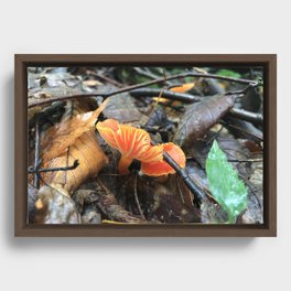 Fiery Mushrooms Framed Canvas