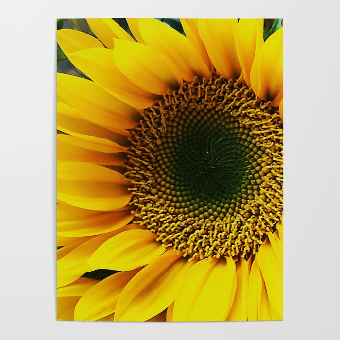 Yellow Daisy Joyous Close-Up Art Photo Poster