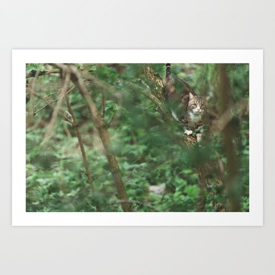 Cat in green Art Print