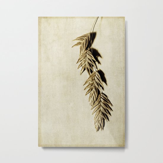 khaki Metal Print