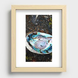 Beautiful Paua at the beach Recessed Framed Print