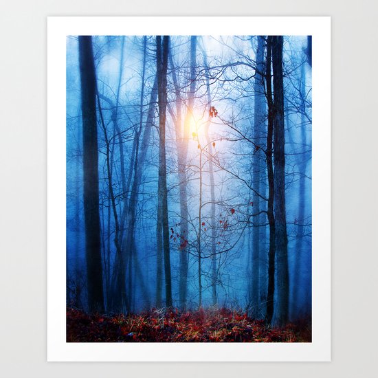 Color & Nature II Art Print