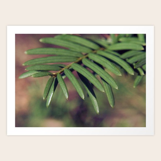 Pastel Art Print