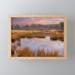 Sunrise over marsland  Framed Mini Art Print