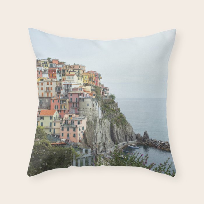Throw Pillow