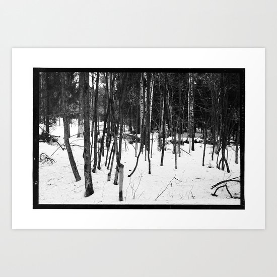 NORWEGIAN FOREST IX Art Print