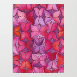Pink and Purple Tulips Poster