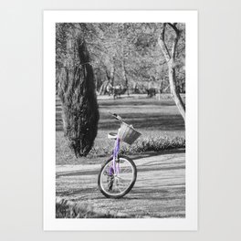Bicycle in Summer Garden Art Print