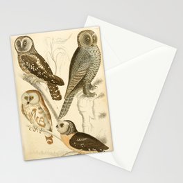 Owls from The Edinburgh Journal, 1835 (benefitting The Nature Conservancy) Stationery Card