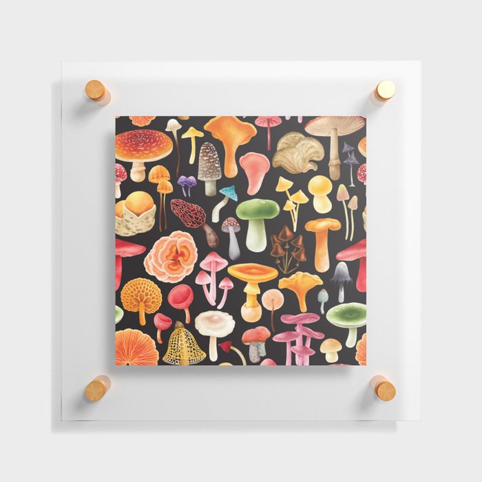 He's Such a Fungi - Mushroom Collection Floating Acrylic Print