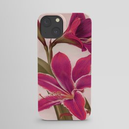 Vintage Floral iPhone Case