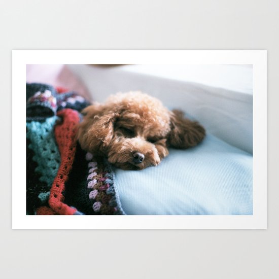 Sleeping Puppy Art Print