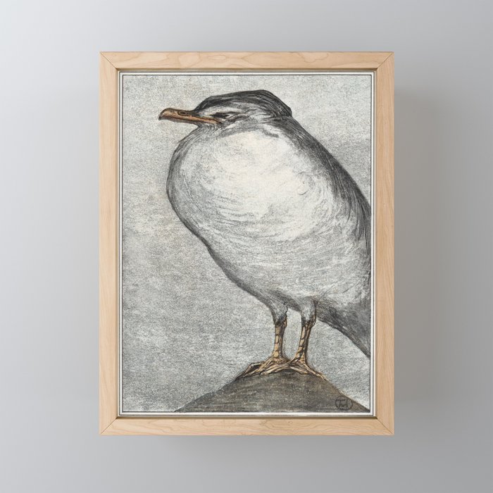 Sleeping Seagull Framed Mini Art Print