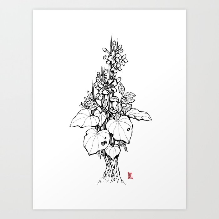 Mixed Plants Art Print