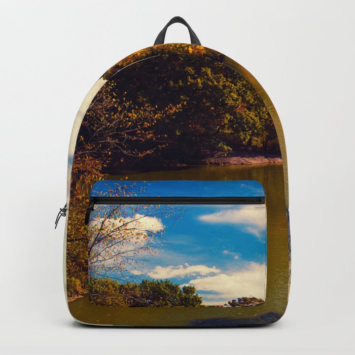 Central Park New York ic Backpack