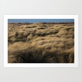 Wind-Swept Grass with Dunes at the Horizon | Island of Terschelling Art Print