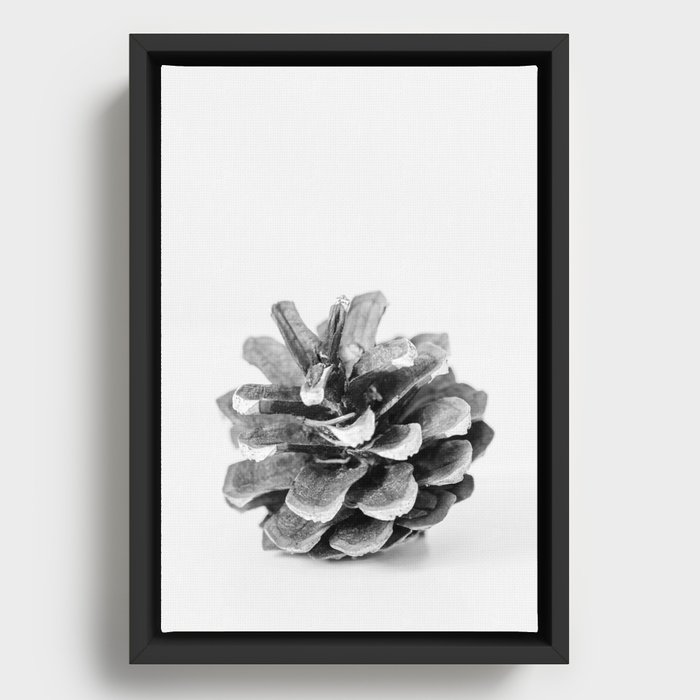 Winter Pine Cone  Framed Canvas