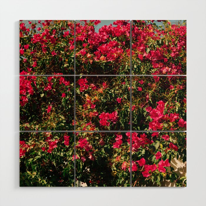 Vintage Flower Festival | Pink Flowers in Bush | Nature & Travel Photography Wood Wall Art