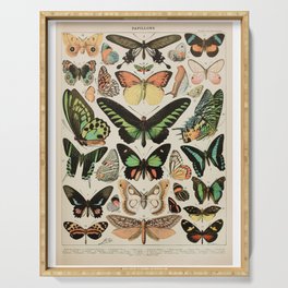 Papillon II Vintage French Butterfly Chart by Adolphe Millot Serving Tray