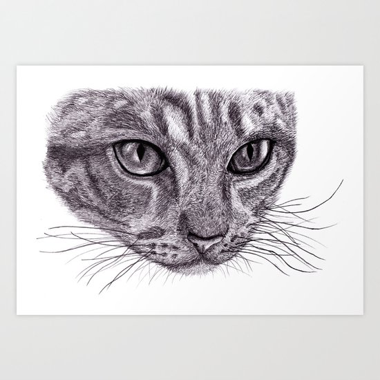 Cats eyes... Art Print