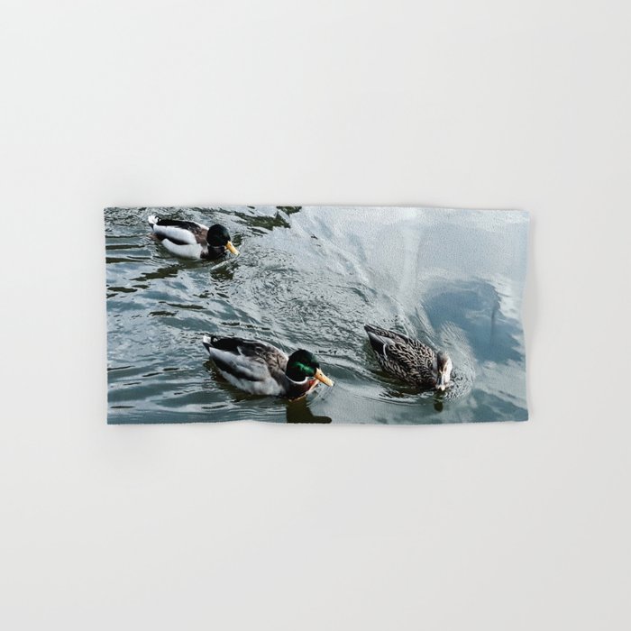 Three ducks swimming Hand & Bath Towel
