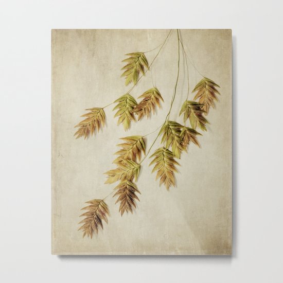sea oats Metal Print