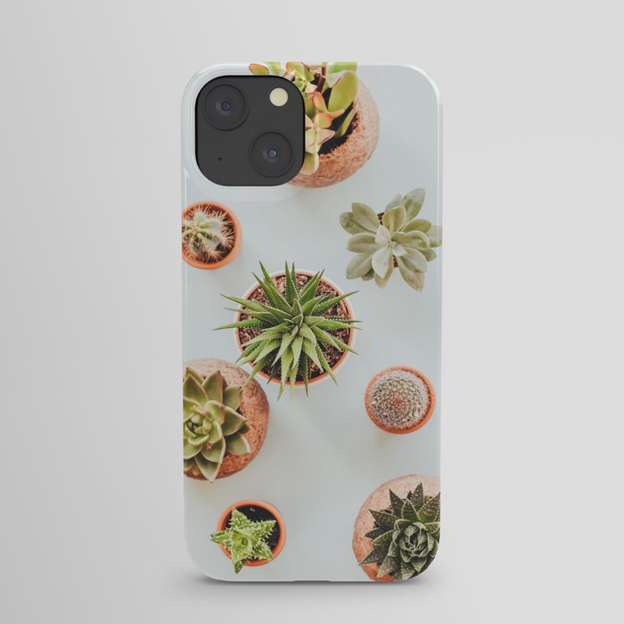Succulents  iPhone Case