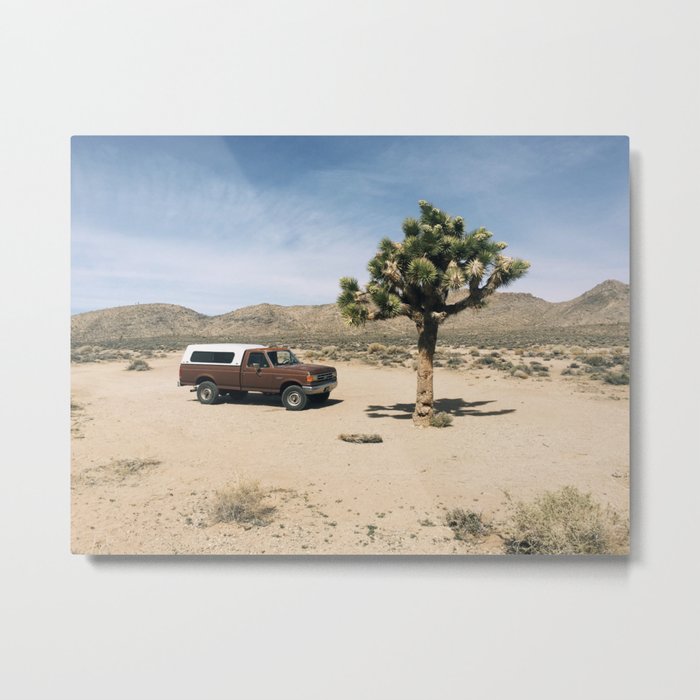 Joshua Tree in Death Valley  Metal Print