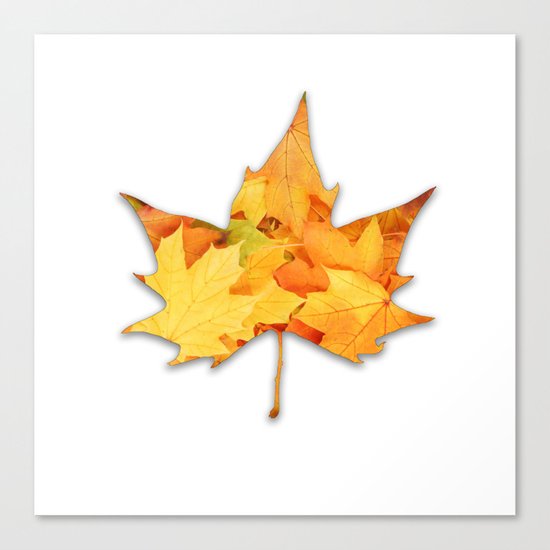 LEAVES IN LEAF Canvas Print