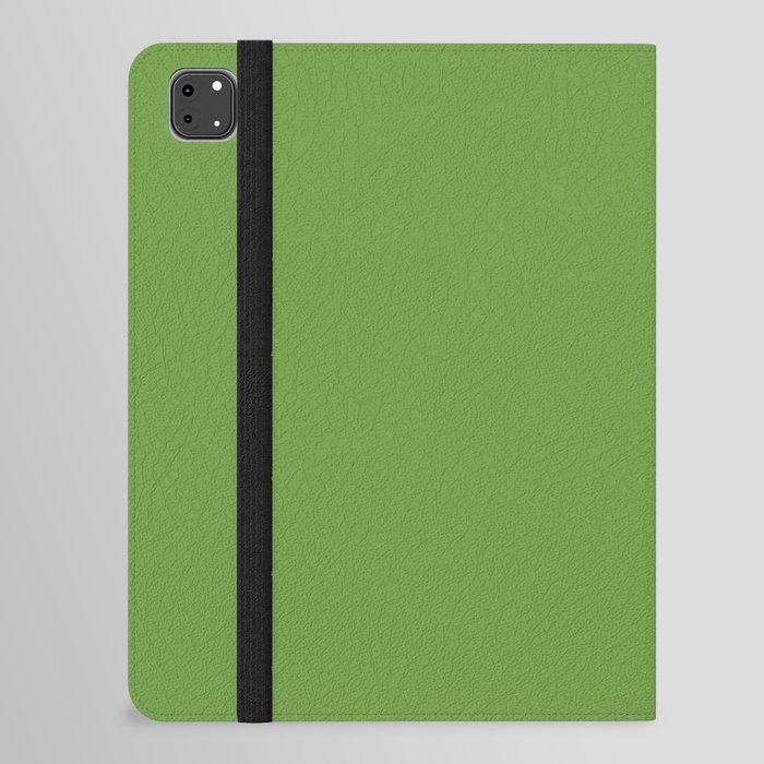 Lizard Green iPad Folio Case