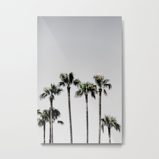 Palm Trees 5 Metal Print