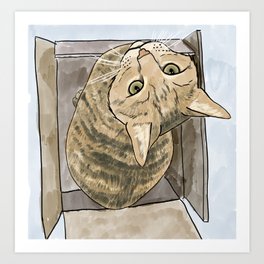 Lucy - Cat in a box Art Print