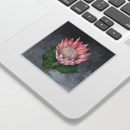Protea Flower Painting Sticker