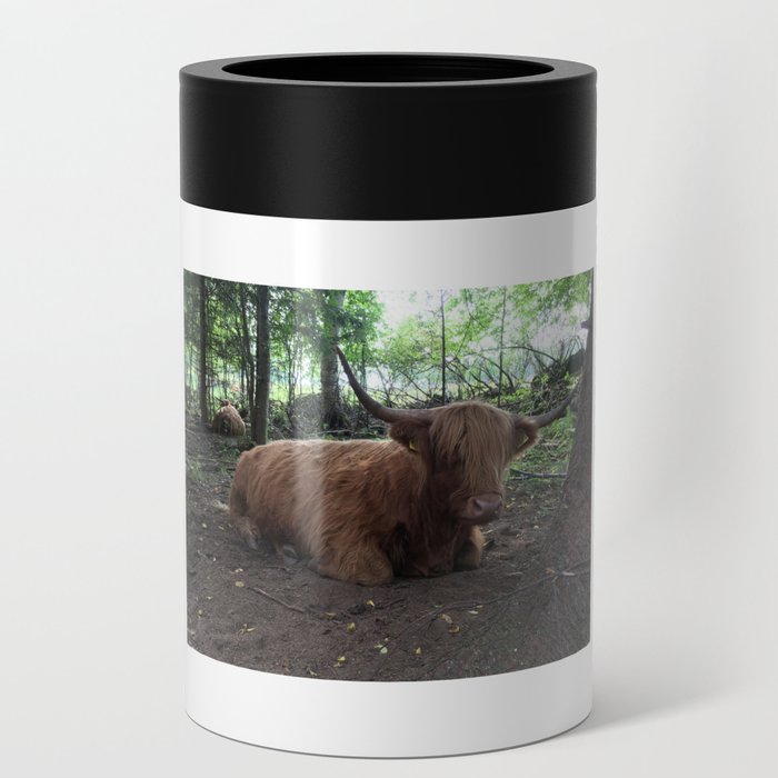 Fluffy Highland Cattle Cow 1185 Can Cooler