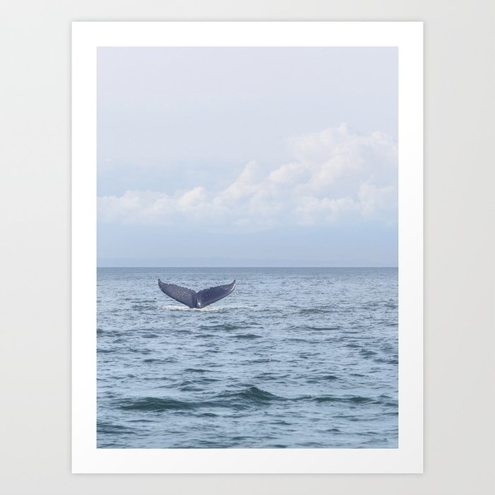 Humpback Whale Nature Photography No. 4 Art Print